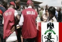 40 percent of Nigerian youth ‘deeply involved’ in drug abuse NDLEA Declares