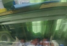 Parents of Triplets appeals for financial support from Government, NGO philanthropists