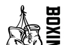 Nigerian Boxing Federation Gets Two Seats in African Sub Committees