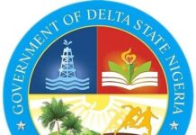 Traffic Laws Enforcement: Delta Govt Introduces Automatic Number Plate Recognition System