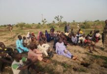 Nigeria Army Troops Frees 53 Hostages And Recovers 8 Vehicles In Borno