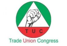 TUC Calls for Further Engagement with Delta Govt on 13th-Month Salary Implementation