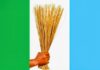 Delta APC Dismisses Omo-Agege’s ‘Desperate Bid’ to Distract Deltans With Falsehoods