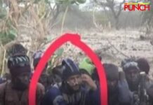 Troops Neutralize ISWAP cameraman, uncover foreign terrorist trainer, doctor in Borno forest