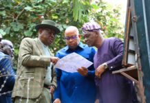 FCT FLOOD: Wike Knocks Ireti Kingibe, rejects working with her, Says ‘She Has Failed, Electoral Loss Awaiting Her’