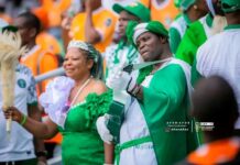 NFF Poll: Solanke Laments Neglect of Nigeria Supporters’ Club, Pledges Full FIFA-Backed Recognition, Financial Support