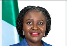 Nigeria lost geoscientists, Petroleum Engineers others to years of under investment- NUPRC CCE, Eyesan