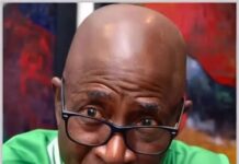 FIFA Intervention a Blessing as Nigeria Moves Towards Football Reforms – Odegbami